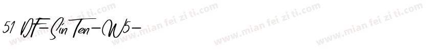 51 DF-SinTen-W5字体转换